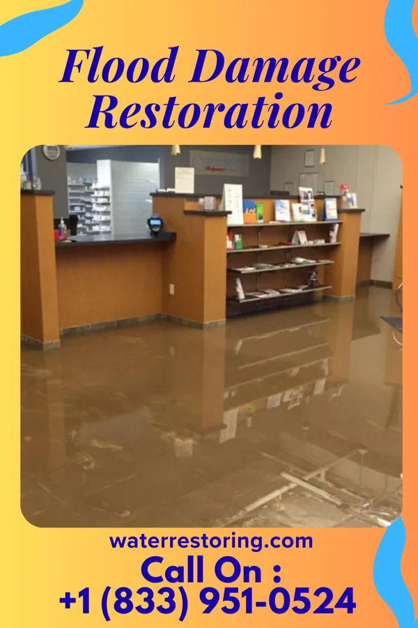 Flood Damage Restoration in Fountain Springs, PA