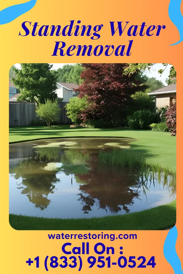 Standing Water Removal in Fountain Springs, PA